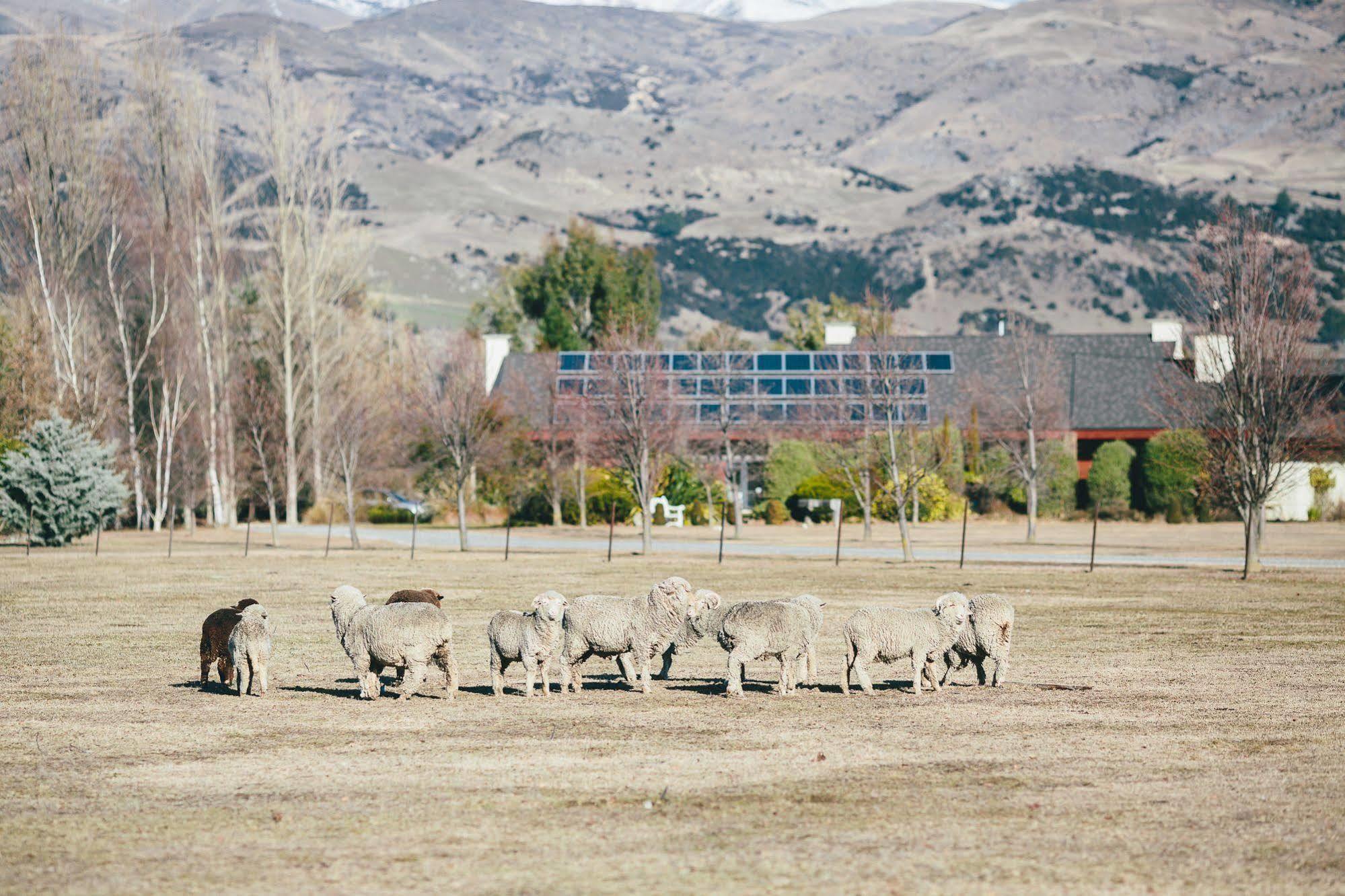 Lime Tree Lodge Wanaka Esterno foto